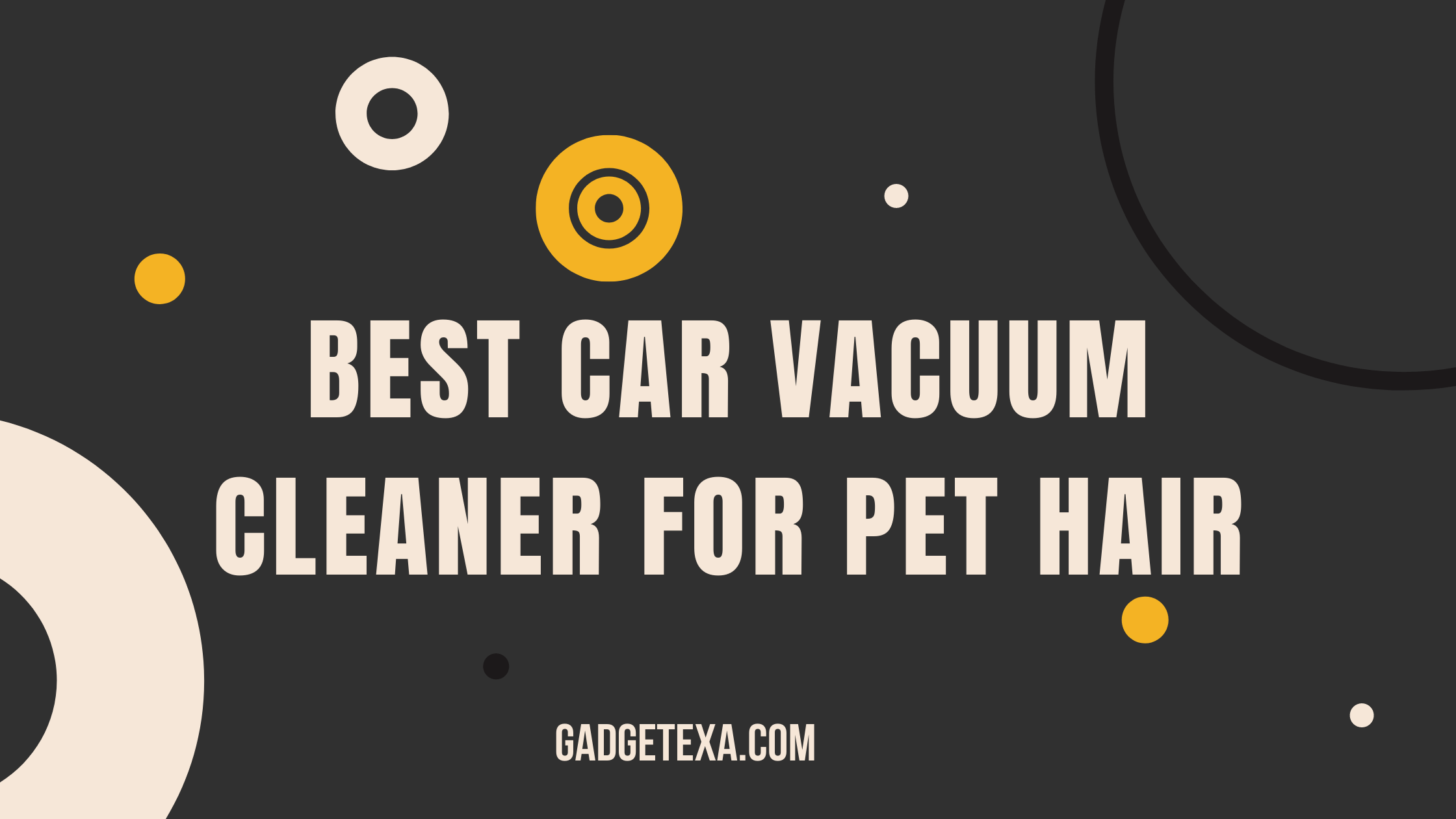 Read more about the article Best car vacuum cleaner for pet hair latest update